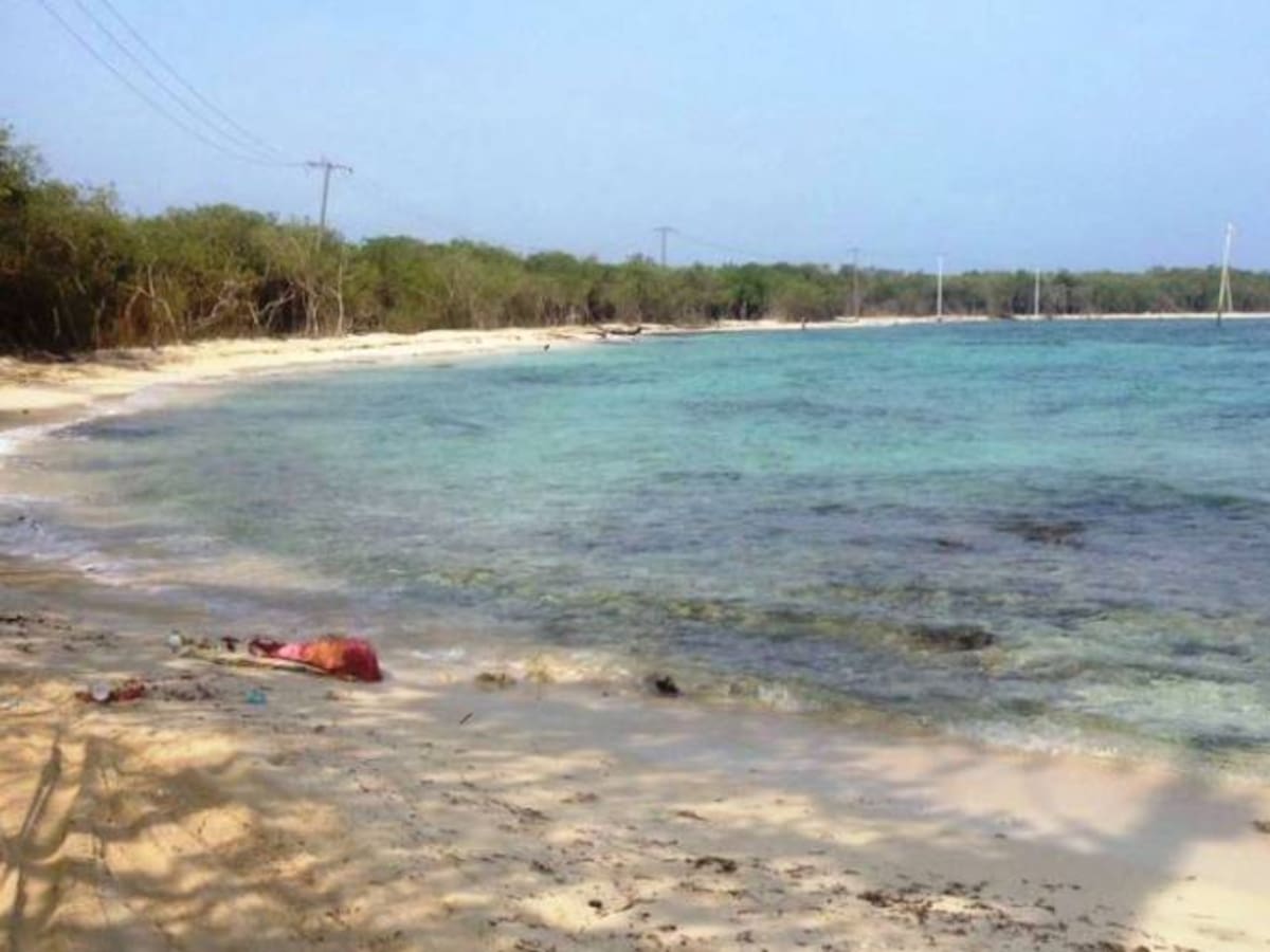 Avanza proceso para obtener la licencia ambiental del proyecto de Playetas en Barú