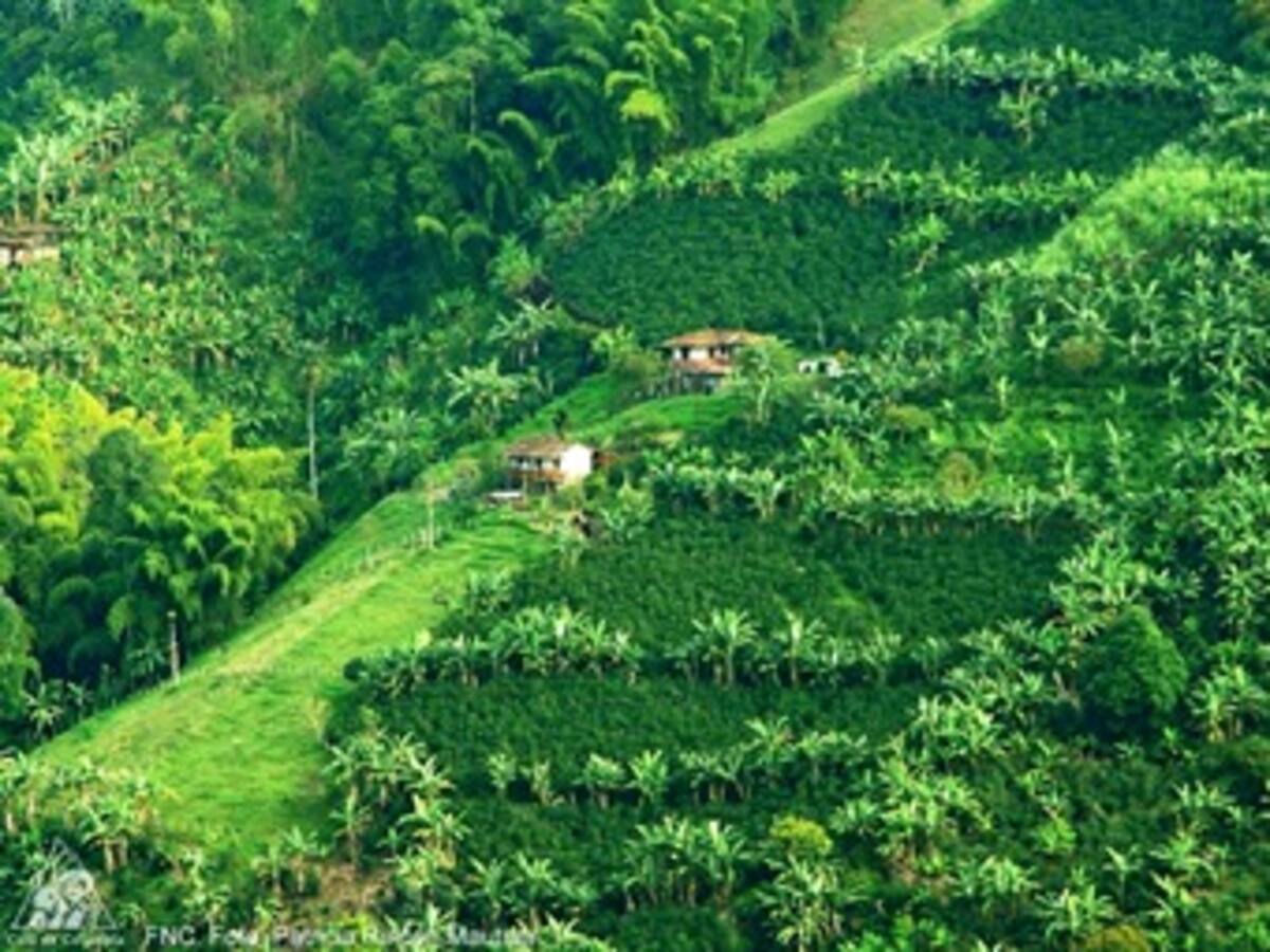 Paisaje cultural cafetero, declarado patrimonio de la humanidad por la Unesco