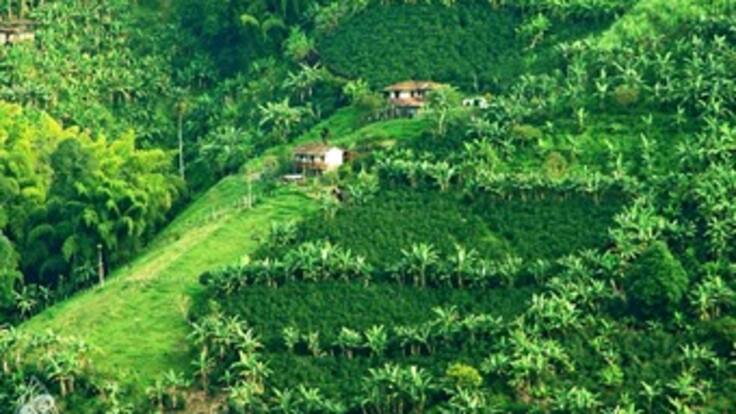 Paisaje cultural cafetero, declarado patrimonio de la humanidad por la Unesco
