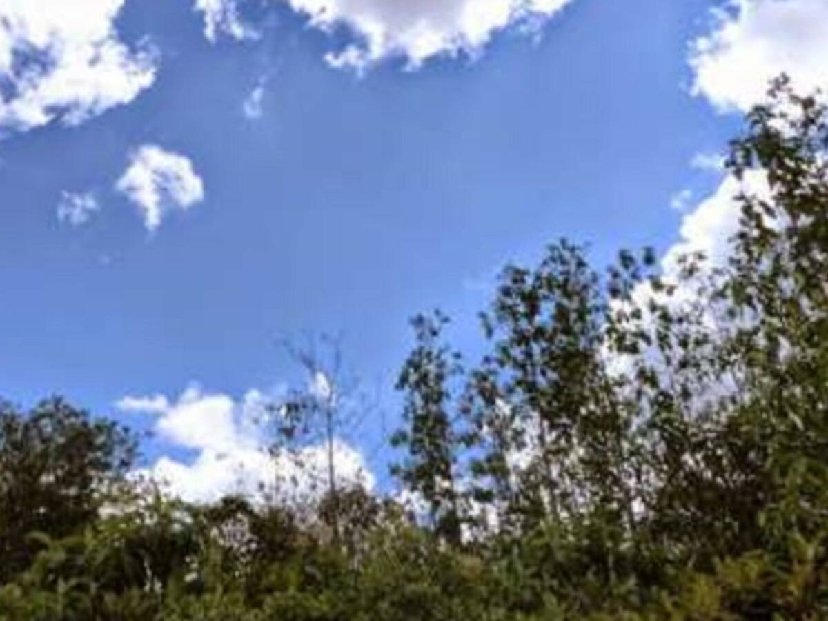 Nueva tutela para proteger la Reserva Van der Hammen