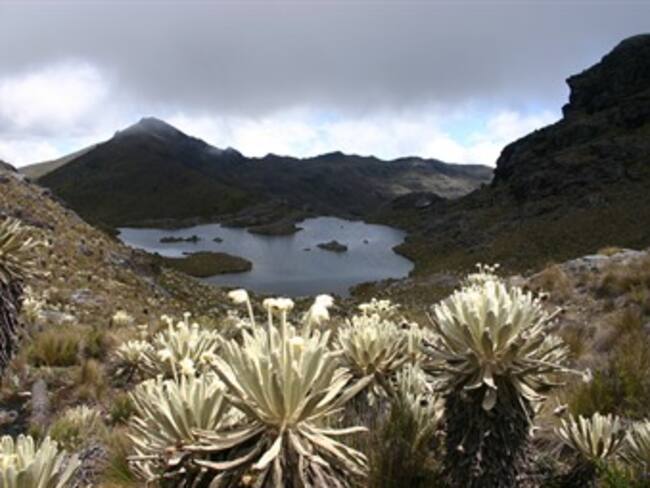Minambiente define hoja de ruta antes de revelar límites de Santurbán