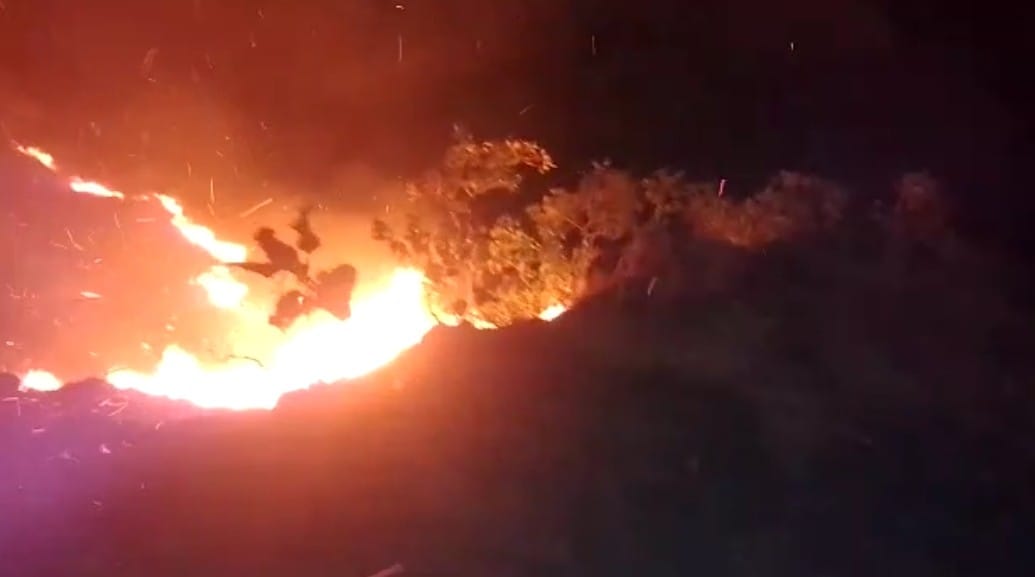 Incendio forestal de gran magnitud se reporta en Carmen de Apicalá.