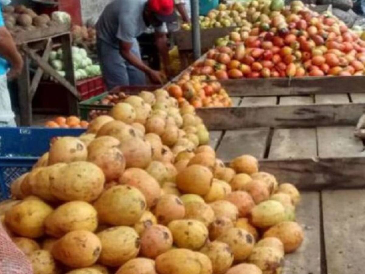 La papa podría registrar un alza hasta del 20% por las heladas: Granabastos