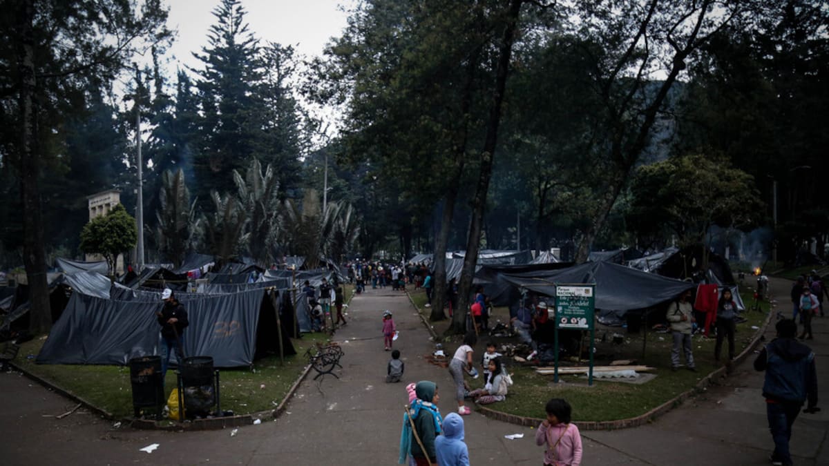 Retorno de comunidad Emberá: consejera de Paz, Viviendas y Reconstrucción lo explica