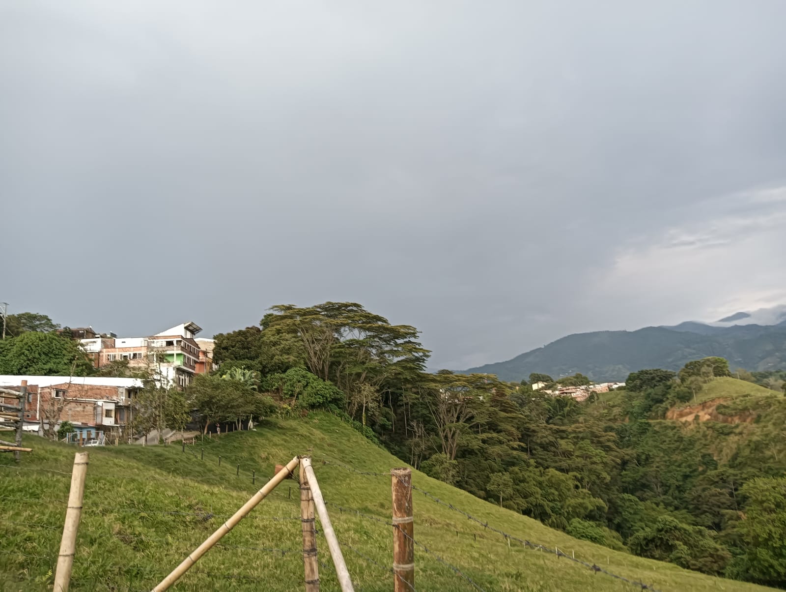 Días de cielo nublado mezclados con el verde del Quindío en Armenia. Foto: Adrián Trejos