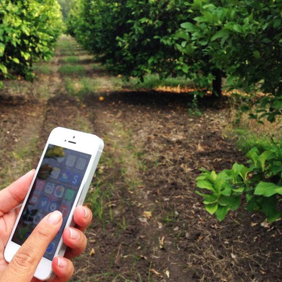 Boyacá tendrá 692 nuevos Centros Digitales Rurales en el 2021