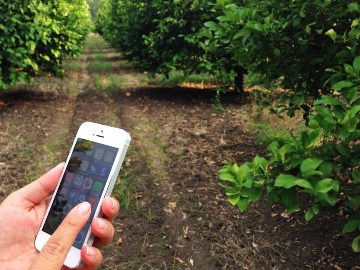 Boyacá tendrá 692 nuevos Centros Digitales Rurales en el 2021