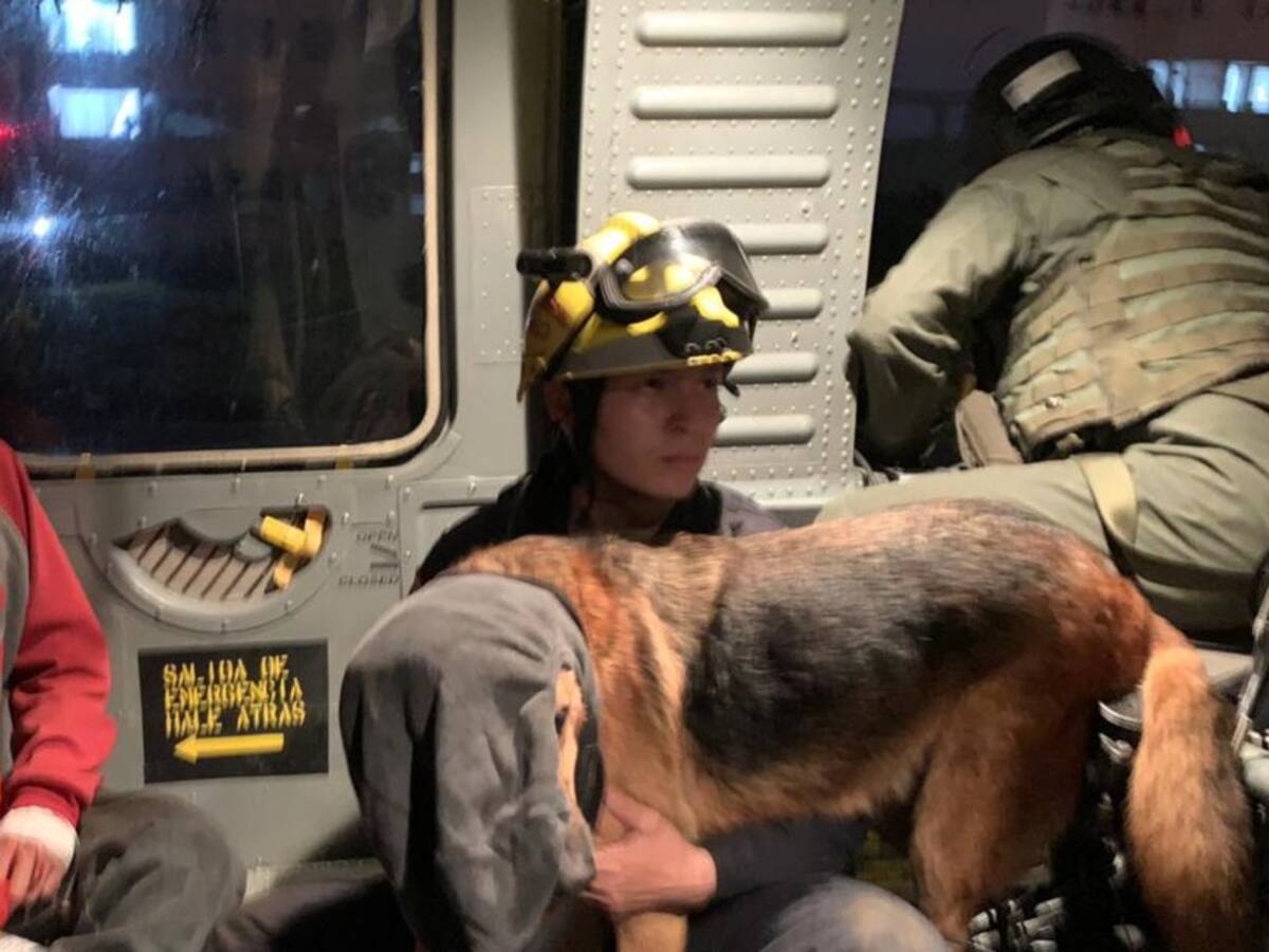 Tres antropólogos picados por abejas fueron rescatados en Antioquia