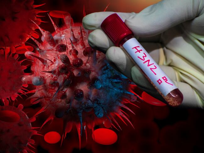 Gripe H3N2: estos son los focos de la enfermedad en el mundo y las medidas de la OMS. Crédito: Getty Images.