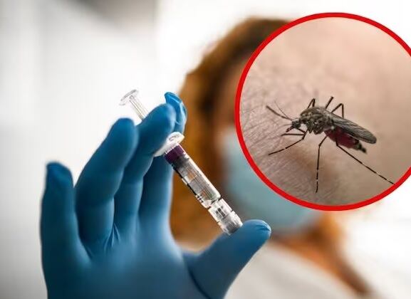 Fiebre amarilla/ Getty Images