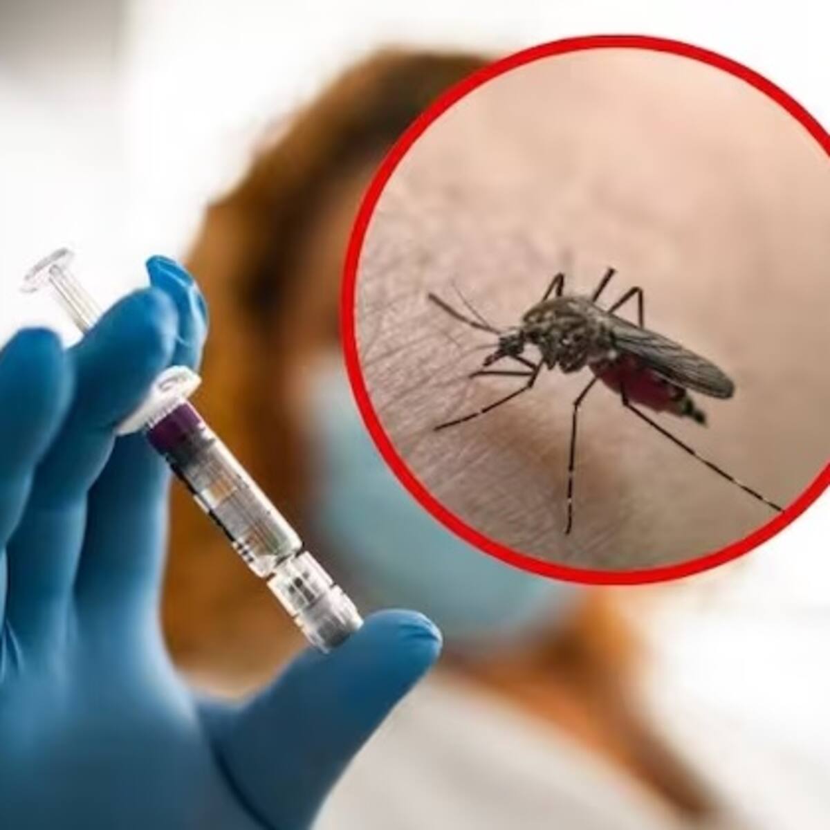 Chocó reporta que tiene nueve casos de posible fiebre amarilla