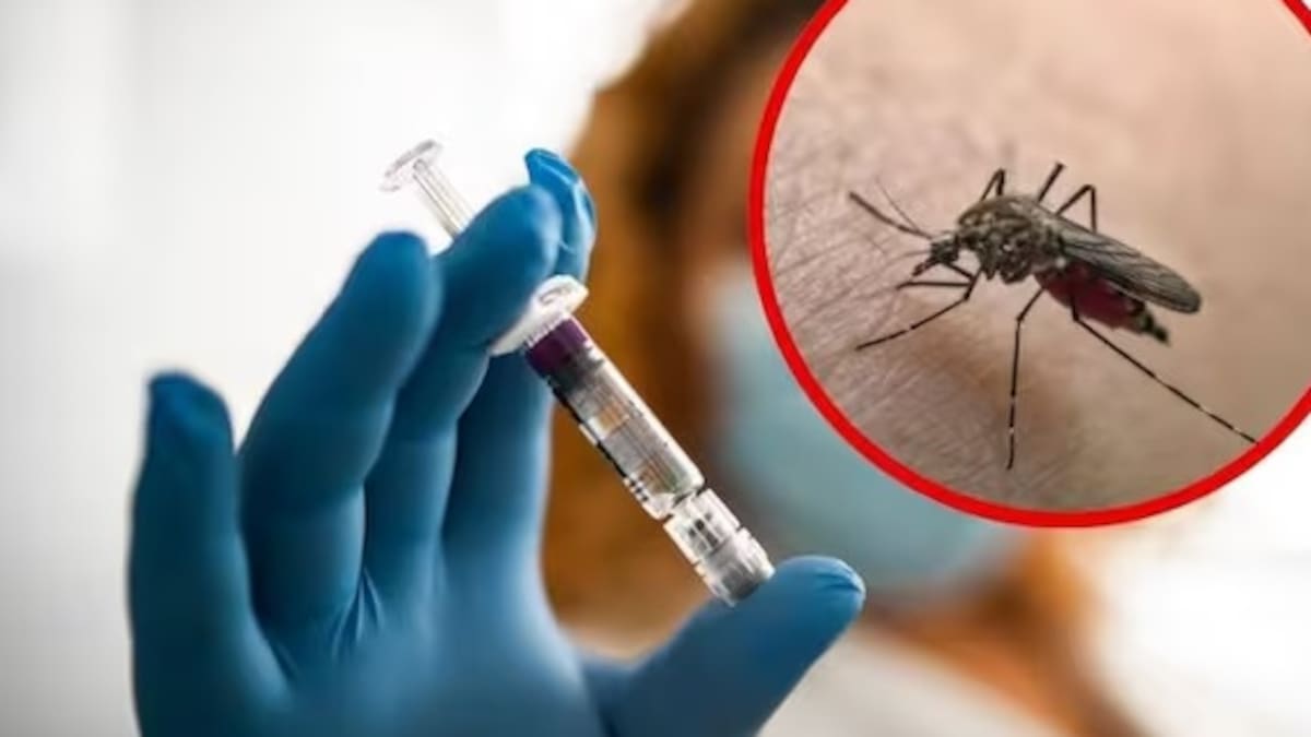 El Tolima sigue enfrentando brote de Fiebre Amarilla