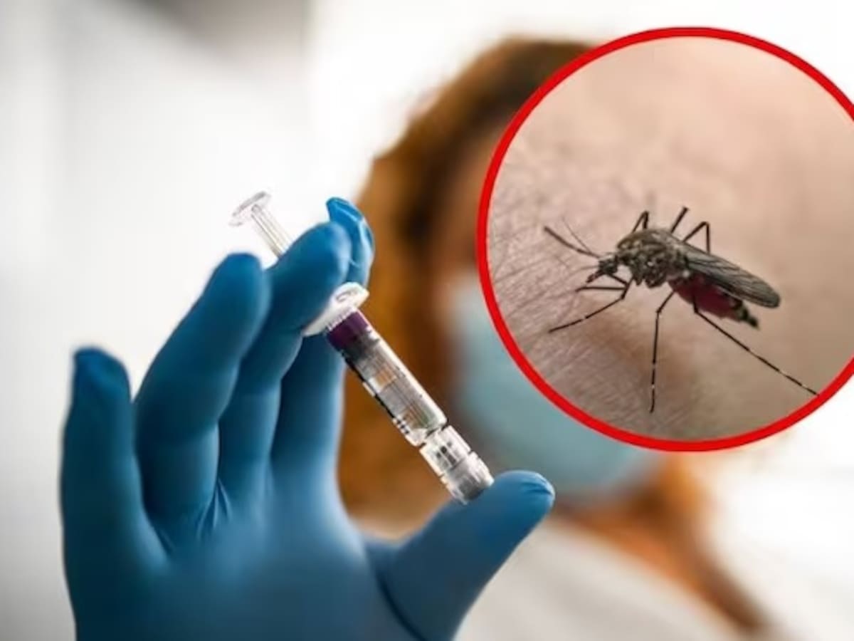 El Tolima sigue enfrentando brote de Fiebre Amarilla