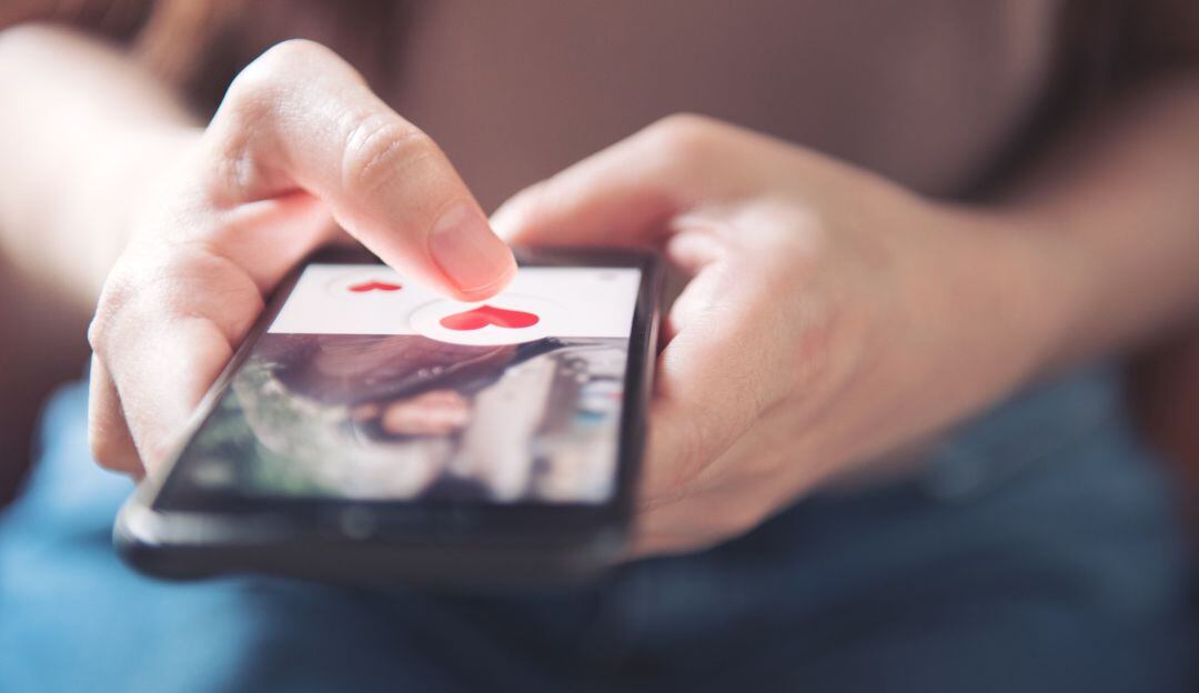 Imagen de referencia