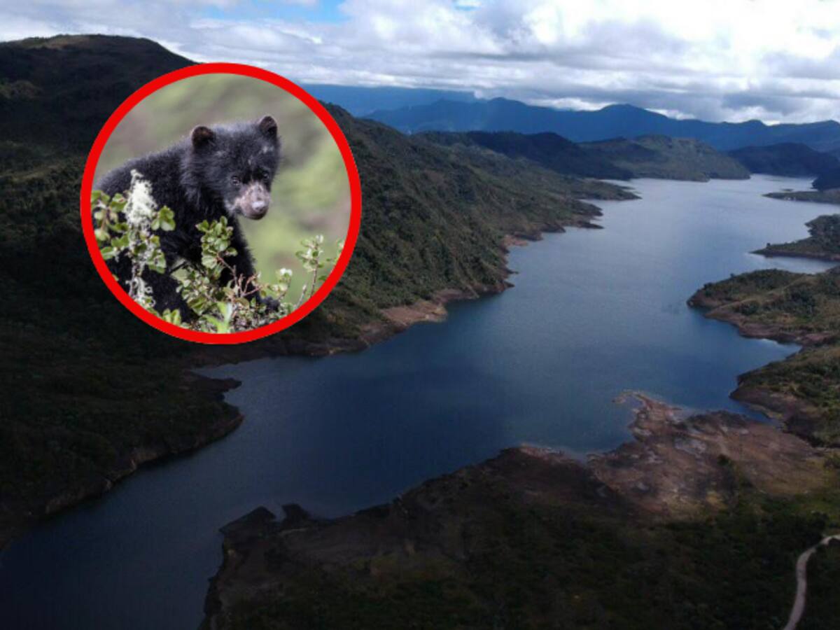 CAR Cundinamarca y Naciones Unidas firman un acuerdo para proteger los páramos de Chingaza