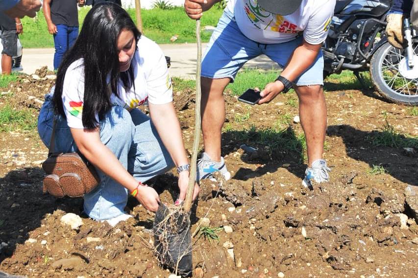 EPA Cartagena y aliados siembra 491 árboles por aniversario de Cartagena