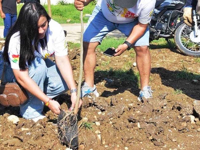 EPA Cartagena y aliados siembra 491 árboles por aniversario de Cartagena