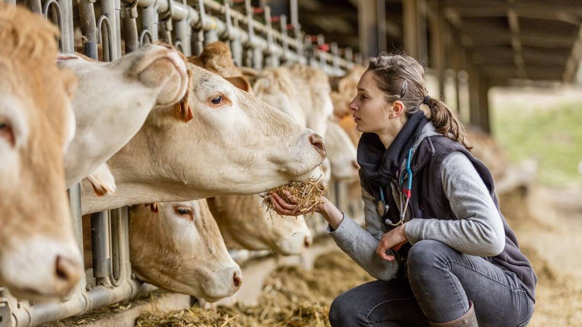 Cuidado con las enfermedades que se transmiten de animales a humanos