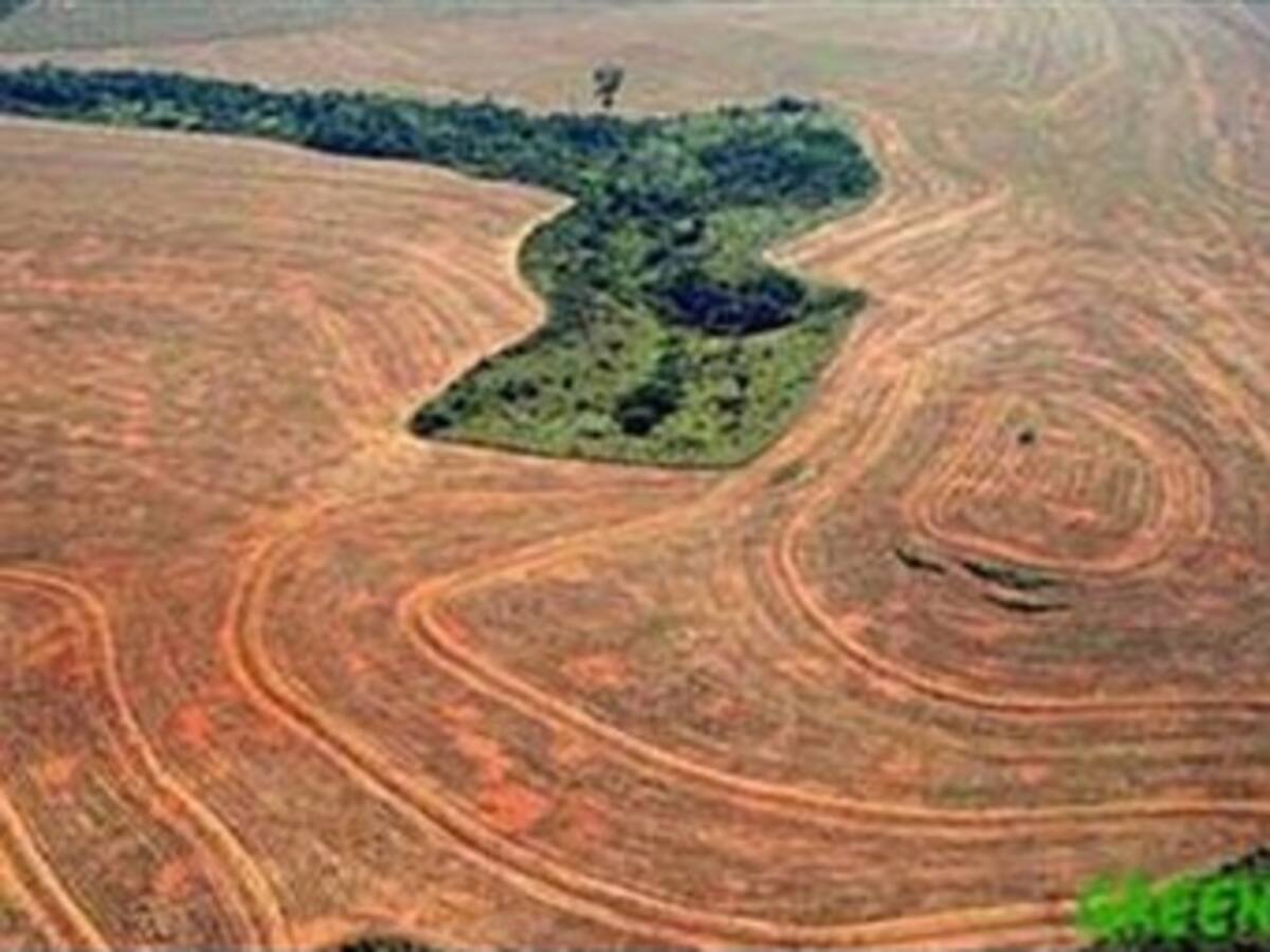 Países inician plan que estudia impacto del cambio climático en la Amazonía