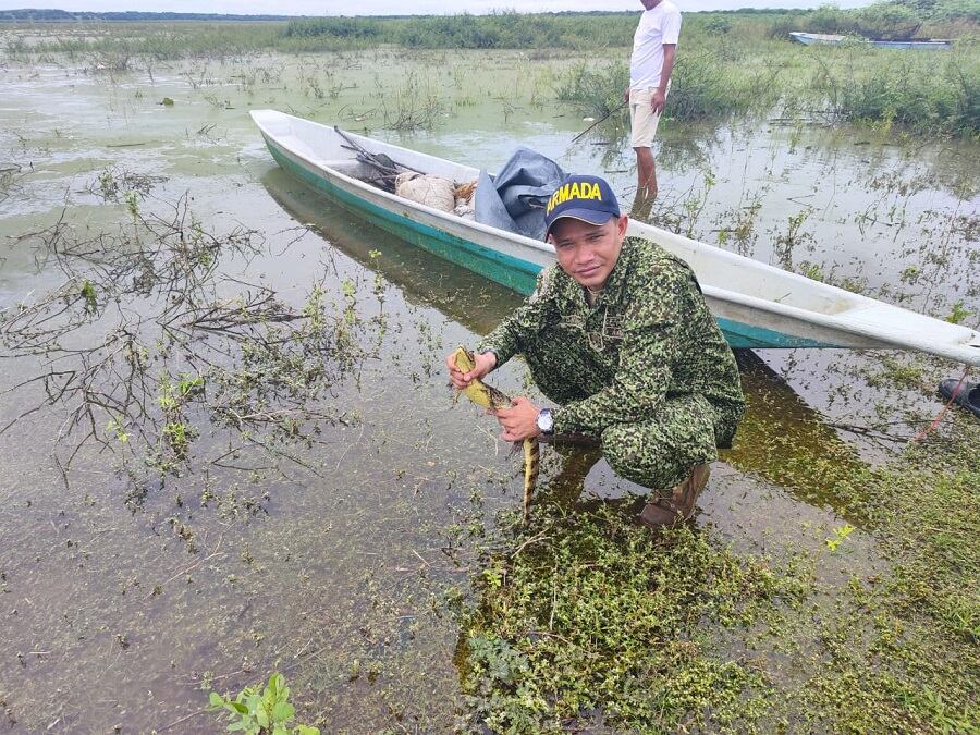 Fuerza Naval del Caribe