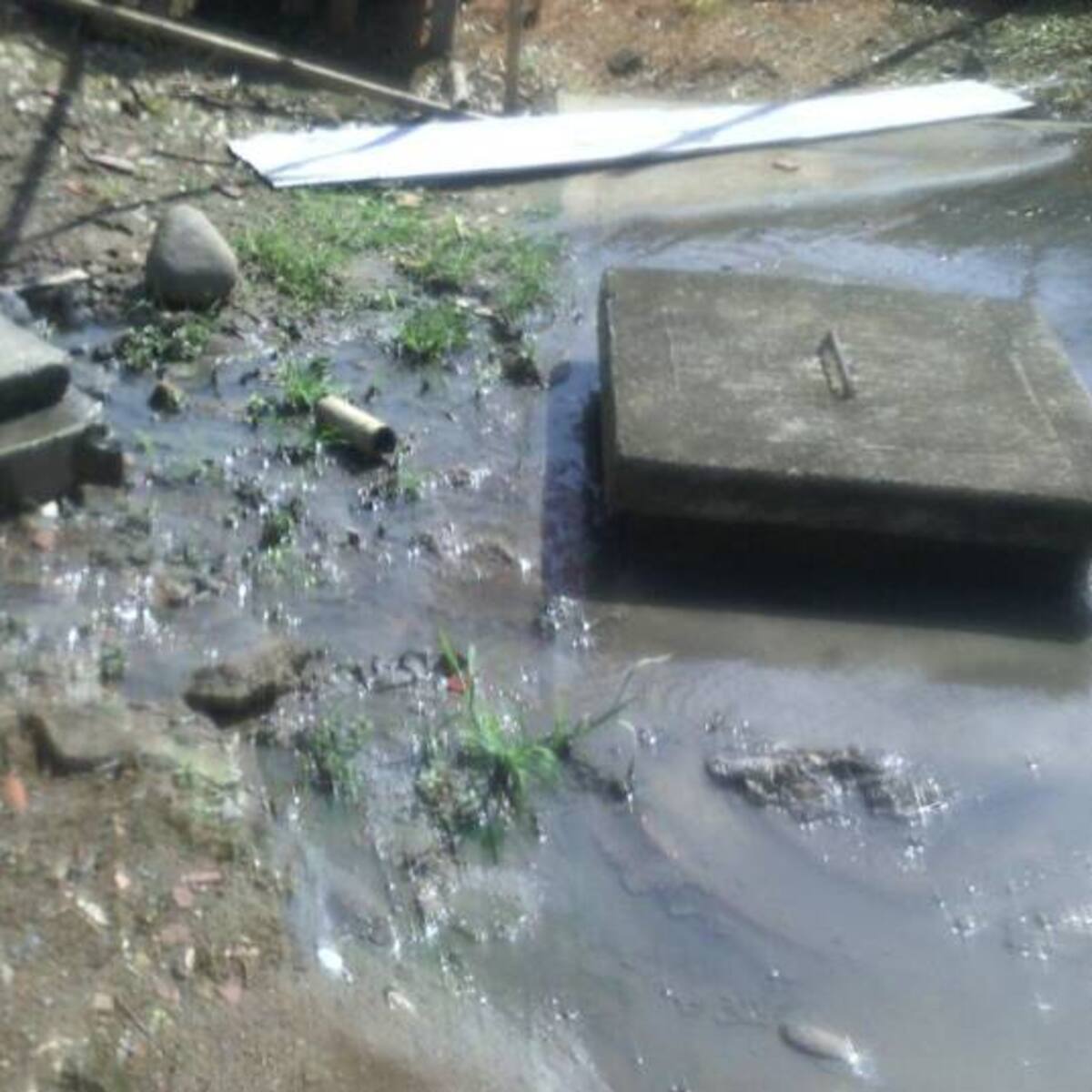 Hay proliferación de zancudos amenazando a los niños de Arabia