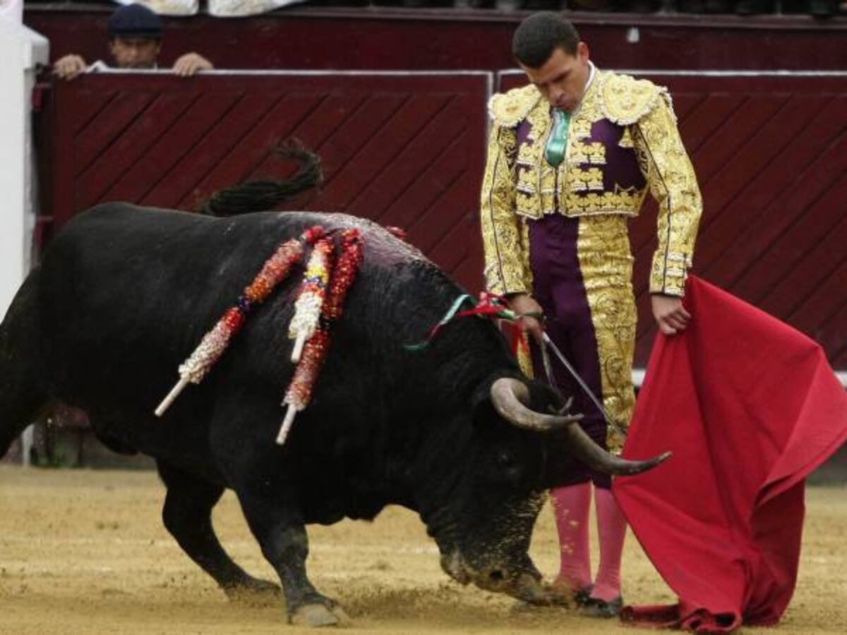 Peñalosa atenta contra los taurinos que le generaron ganancias a la ciudad: Torero