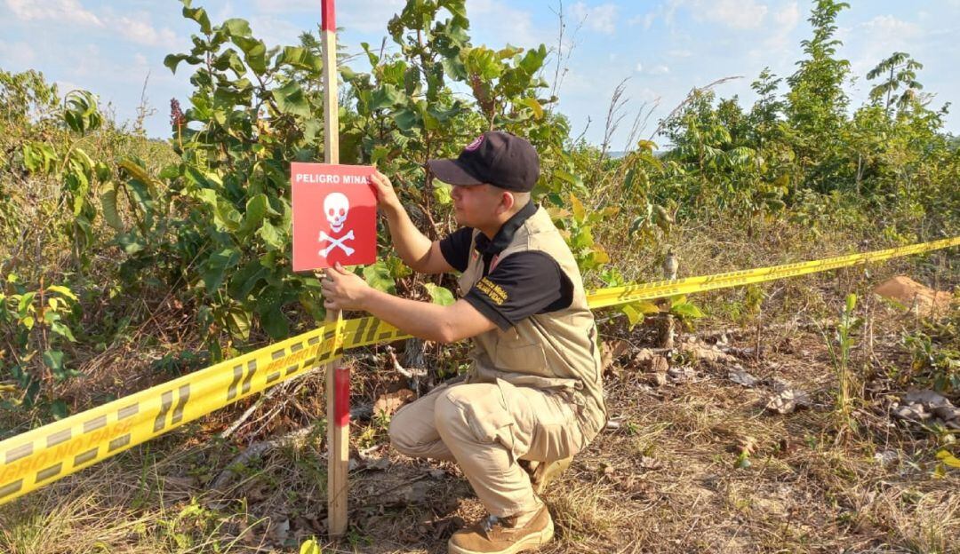 Más de 600 hombres y mujeres usarán tres técnicas: manual, canino y mecánico.