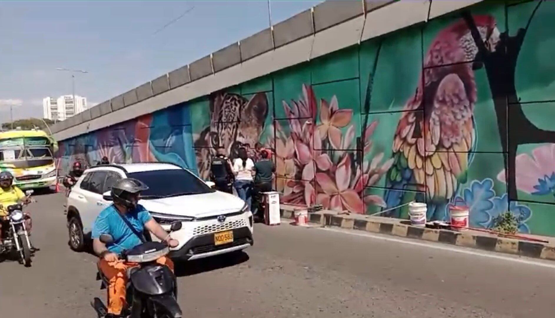 Polémica por mural “Las cuchas tienen razón” en Cúcuta / Foto: Cortesía