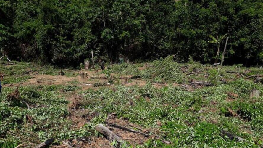 Erradicación forzada en el Catatumbo generó bloqueo vial por cultivadores de hoja de coca. Foto: @CesarJerezM