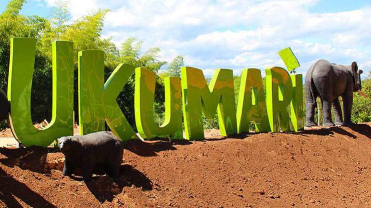 Nuevo lanzamiento de la aplicación móvil del Bioparque Ukumarí
