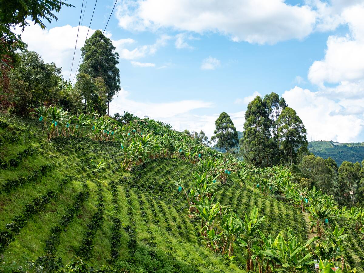 Con Agrolab, empresarios de Norte de Santander apoyan producción del campo