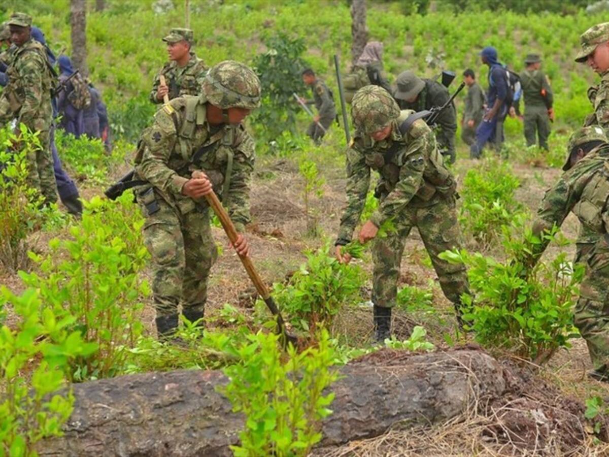 Masacre de Tumaco fue una violación al cese el fuego bilateral: Eln