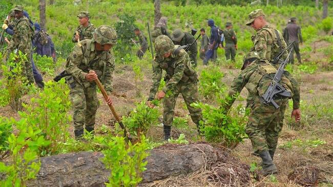 Enfrentamientos por erradicación de coca en Nariño dejaron seis campesinos muertos el pasado 5 de octubre. Foto: Colprensa