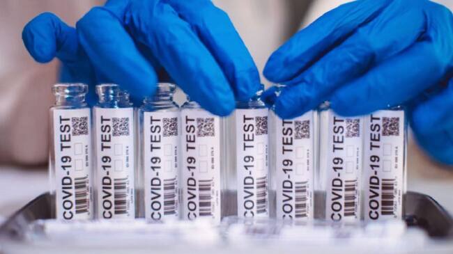 Imagen de referencia