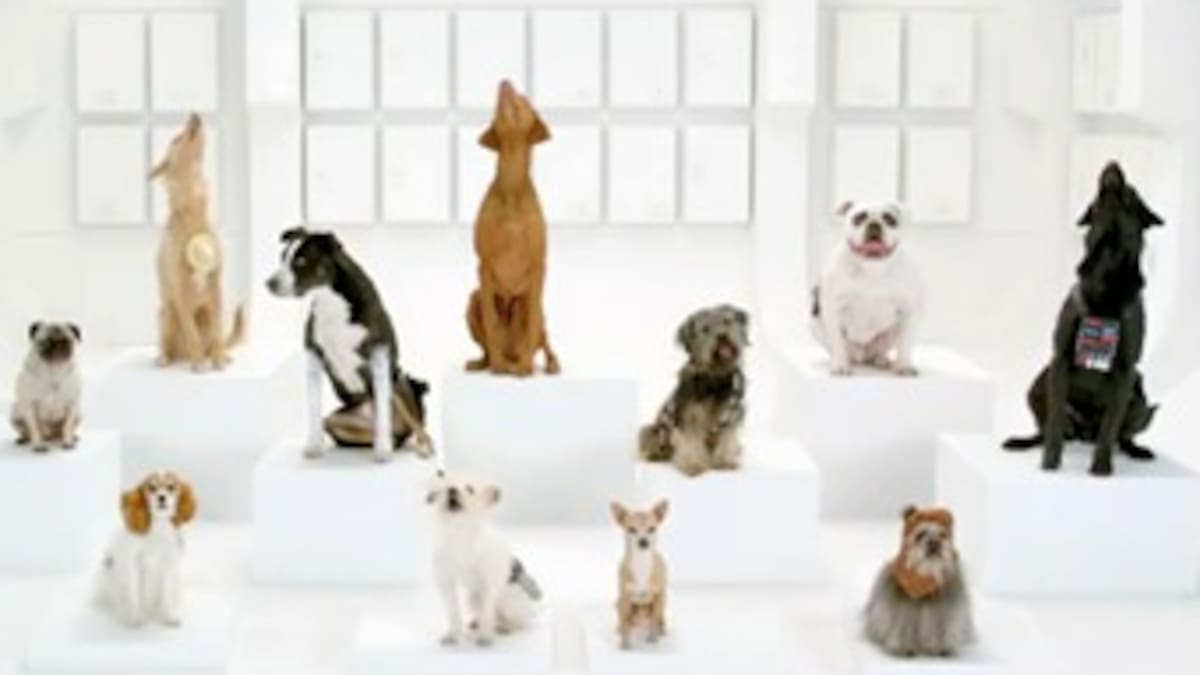 Volkswagen contraataca: para el Superbowl, la marcha imperial de Star Wars hecha con ladridos