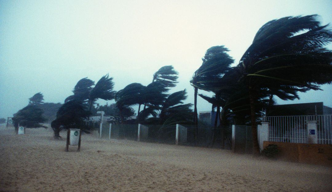 Viajero en el tiempo predice huracán