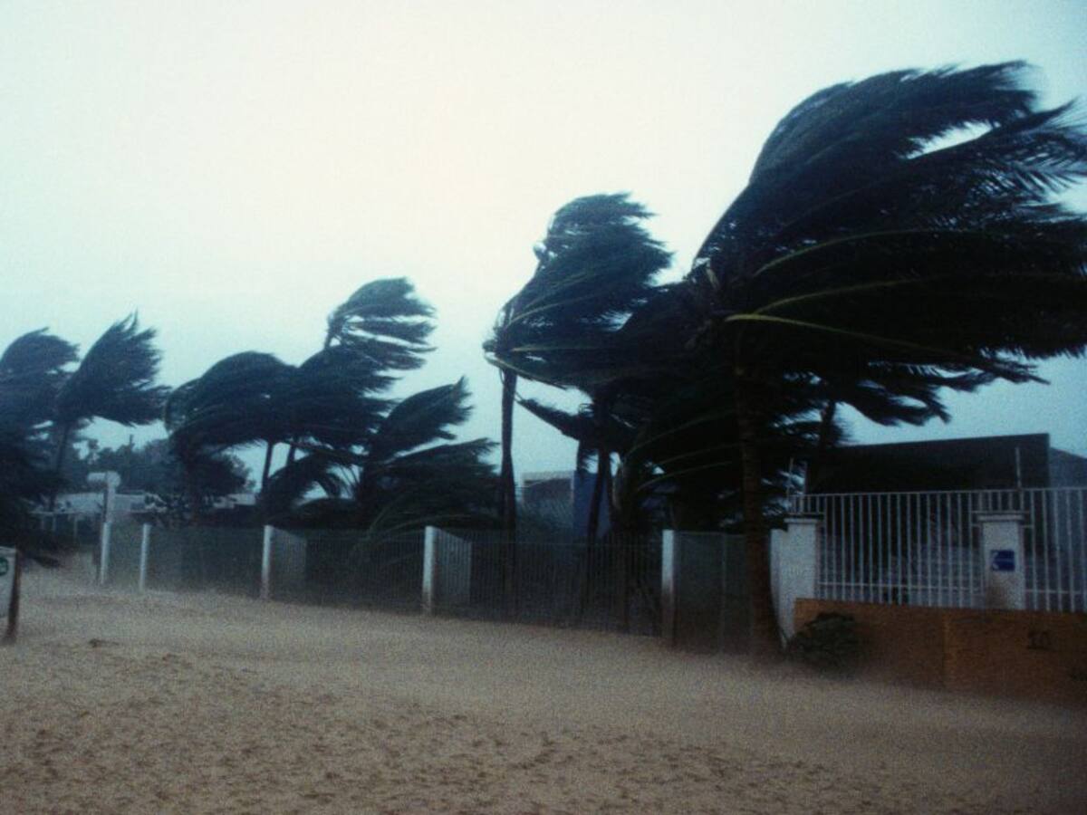 Supuesto viajero en el tiempo predice catástrofe para el 14 de agosto