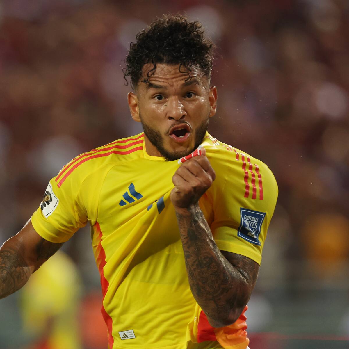 ¡COLOMBIA GOLEÓ! Venezuela vs. Colombia: Reviva los golazos, resumen y resultado por el repechaje