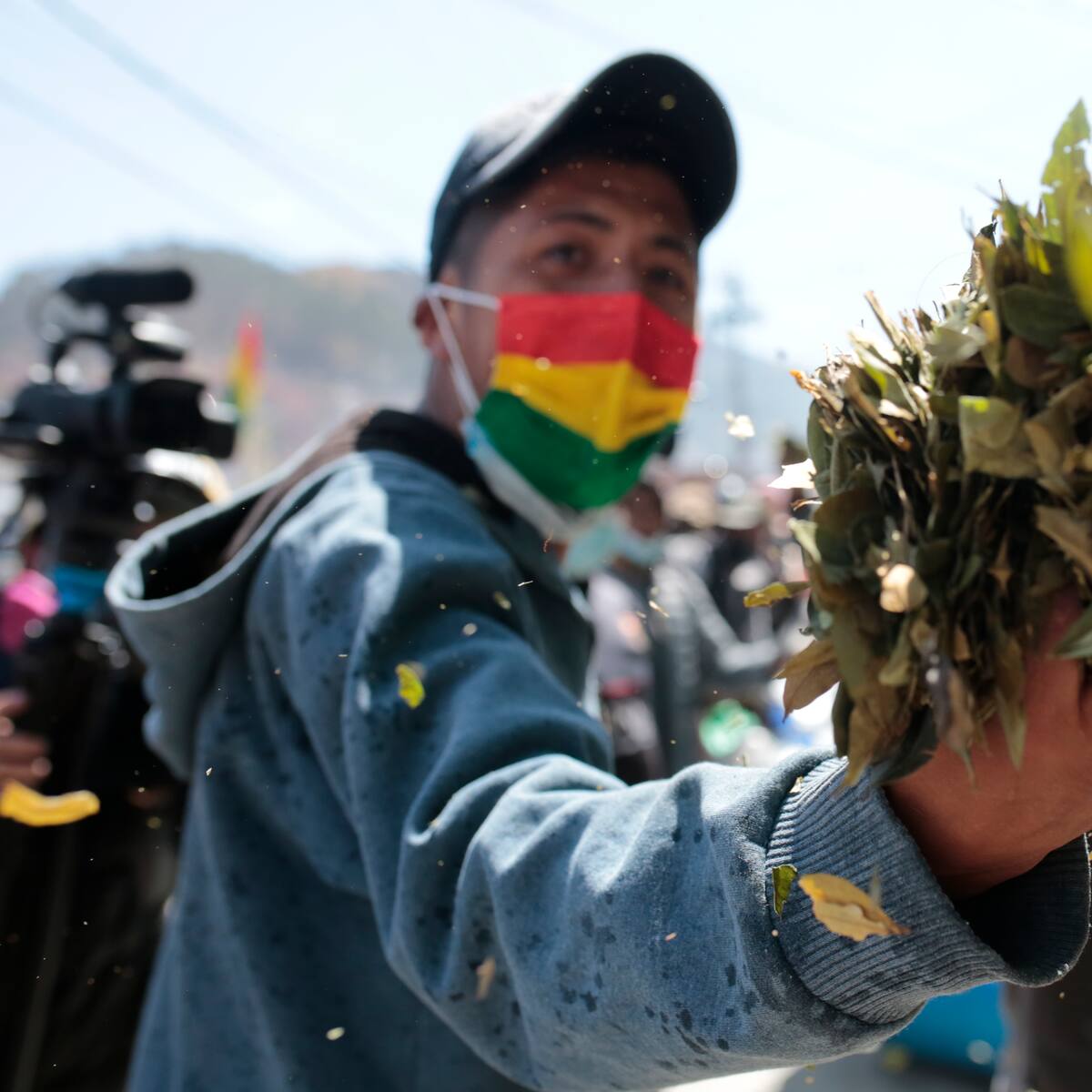 Bolivia lanza nueva política antidroga tras aumento de cultivos de coca