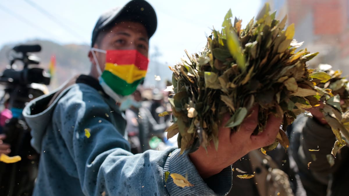 Bolivia lanza nueva política antidroga tras aumento de cultivos de coca