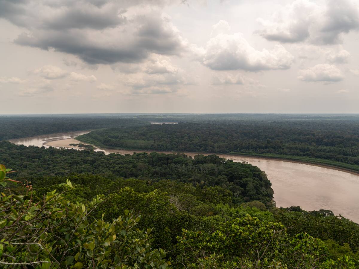 Créditos Verdes y protección de la Amazonía