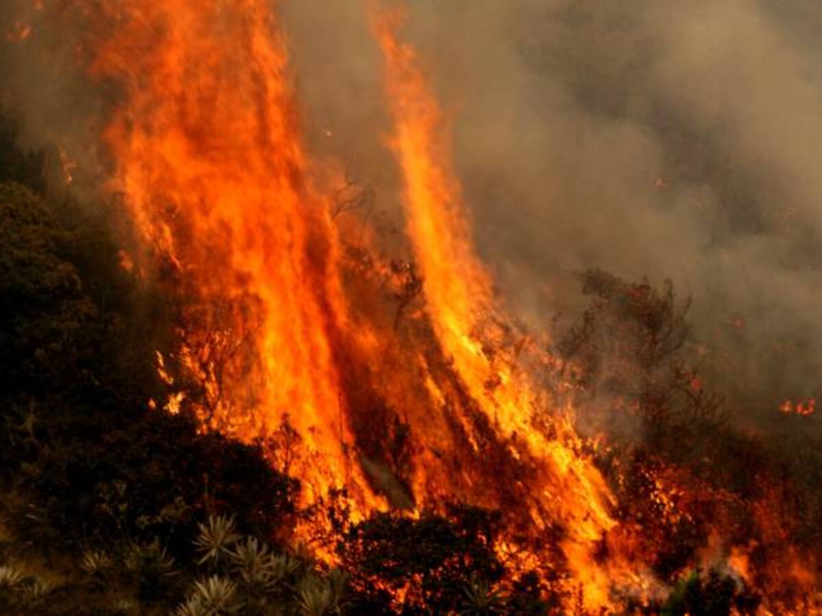 Declaran alerta roja en La Mesa Cundinamarca por sequía