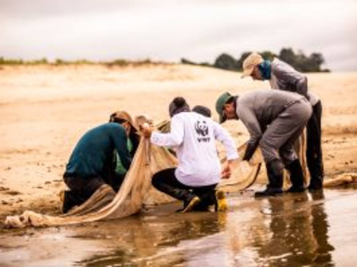 WWF señala que no ve un progreso en la primera semana de la COP27