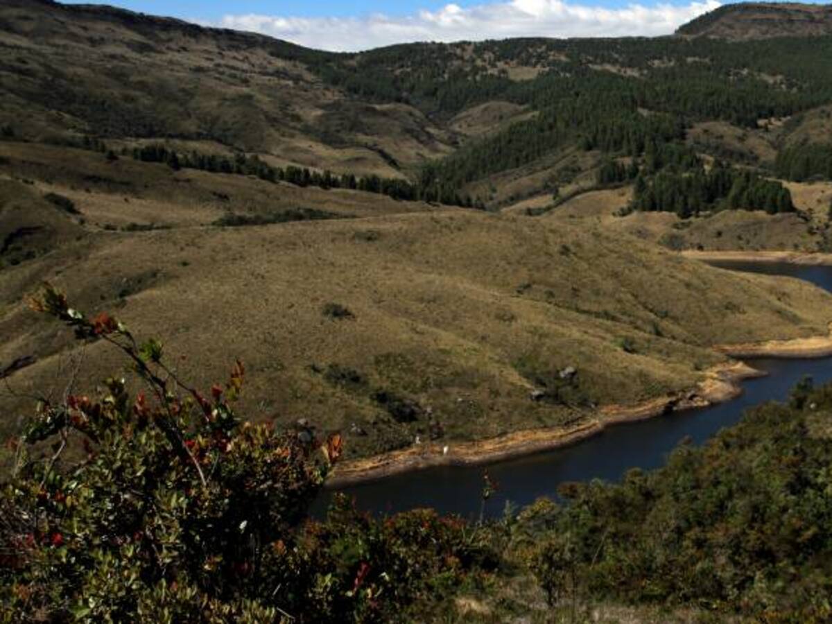 Colombia completará 34 de los 37 páramos delimitados