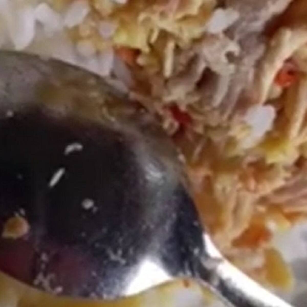 Larvas en ración del PAE en el Putumayo