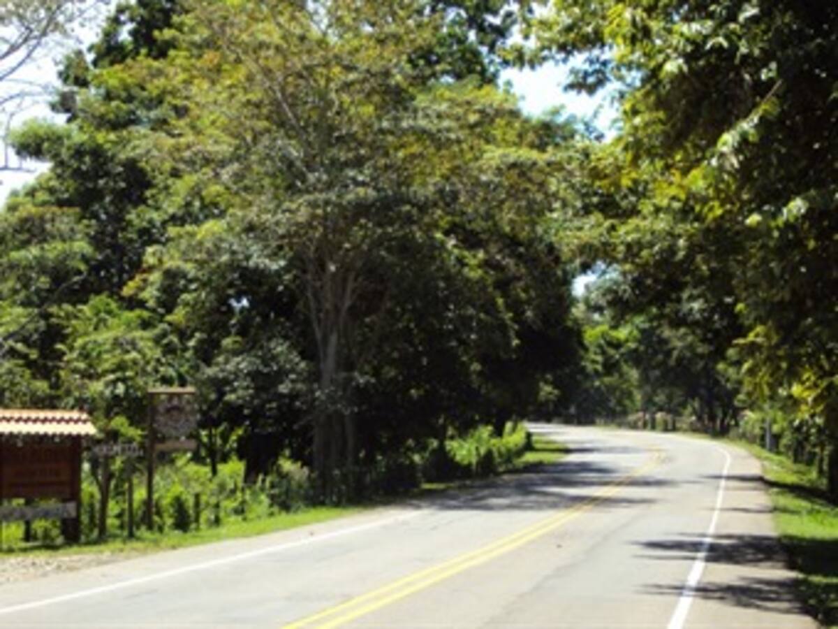 Invías inicia hoy adjudicación de obras de mantenimiento en la Costa Caribe