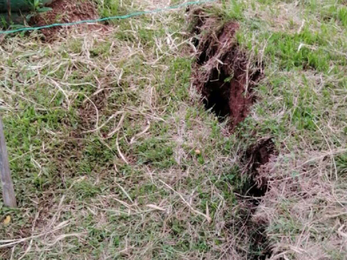 Por lluvias, 6 viviendas de una vereda de Anserma presentan agrietamientos