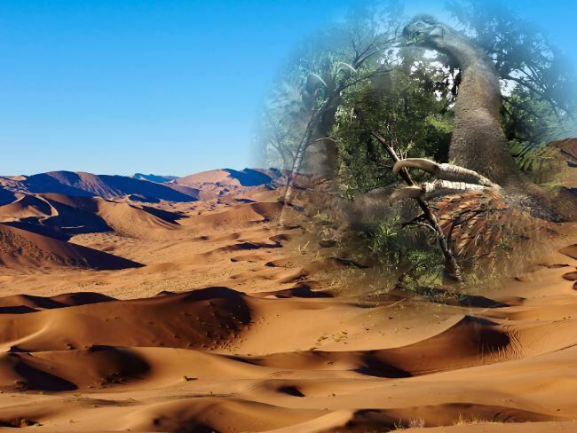 Misterio en Mongolia, hallan garra gigante en el desierto de Gobi