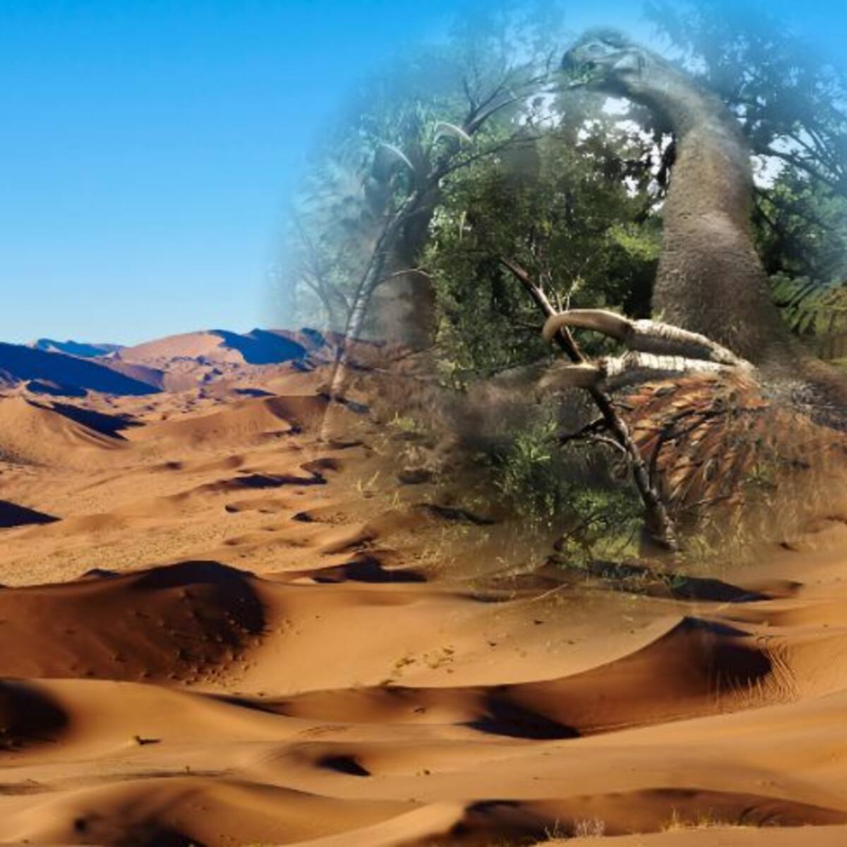 Descubren una garra colosal en el desierto de Gobi, ¿qué criatura la usó?