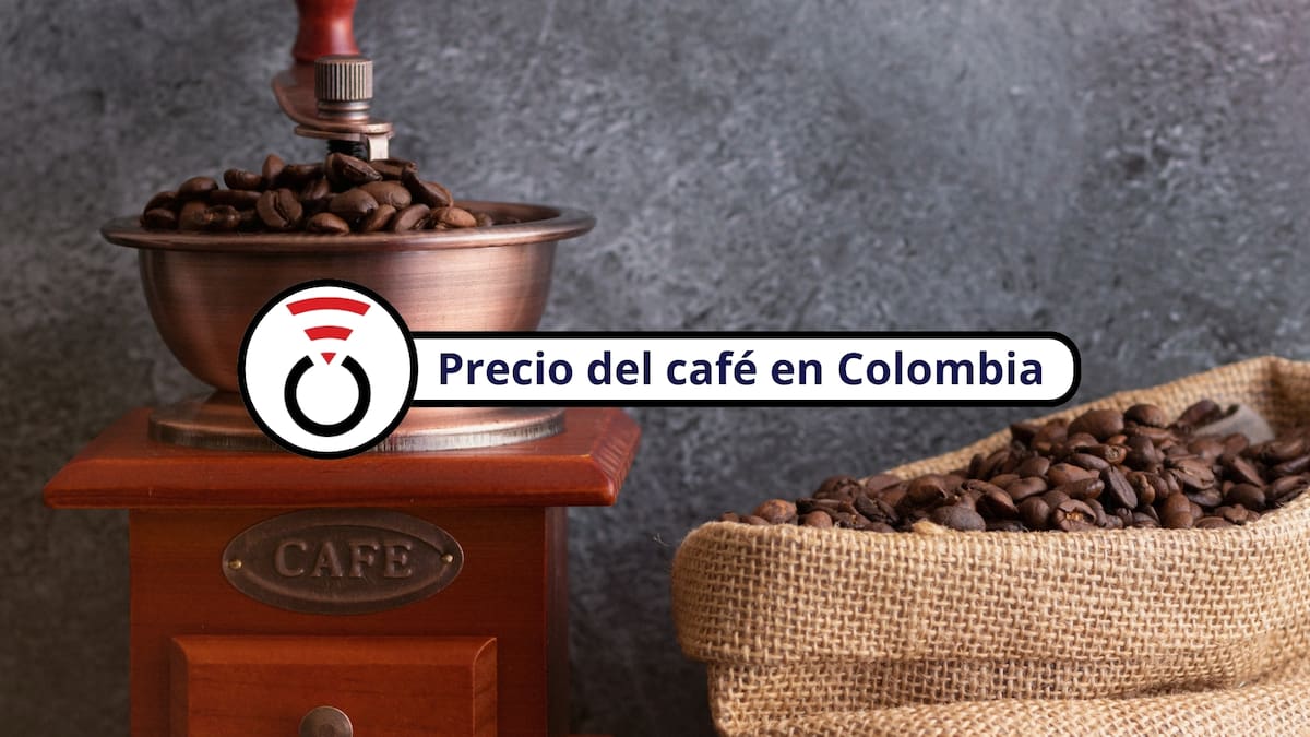 Precio del café en Colombia HOY 25 de mayo de 2026: FNC reporta novedad por día festivo en EE.UU.